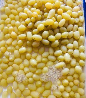 canned green grapes in light syrup 3100ml
