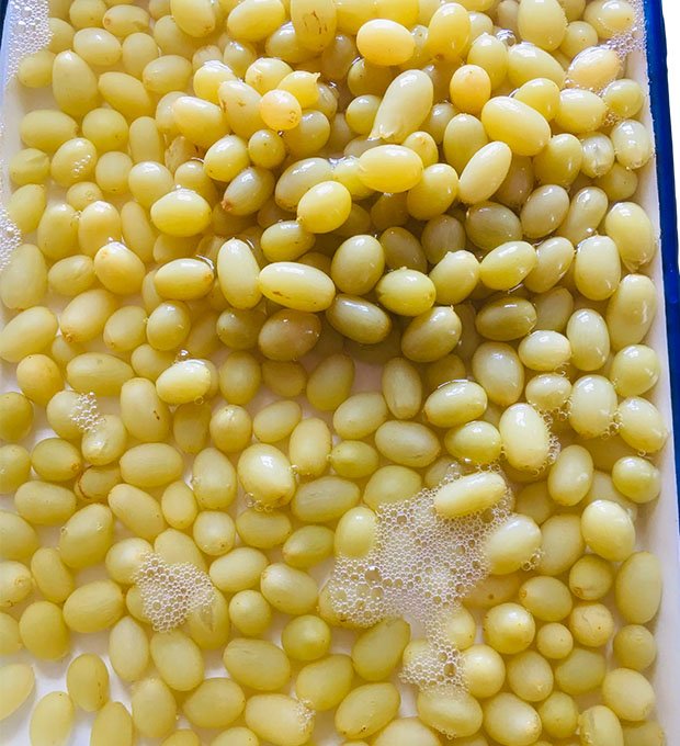 canned green grapes in light syrup 3100ml
