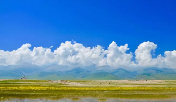 Exhaust gas purification field