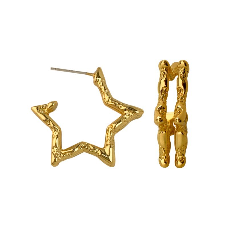 Double-layered pentagonal star 925 silver needle earrings