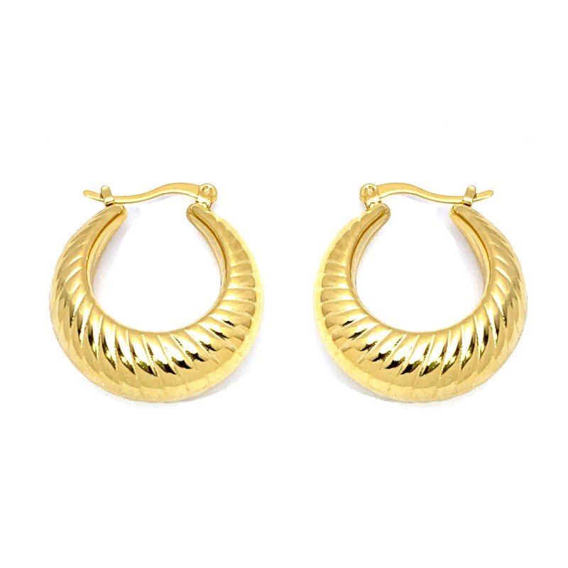 18K golden titanium steel earrings