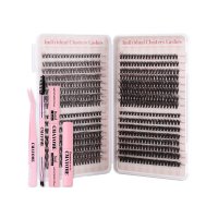 未标题-1_0004_cluster lashes (14)