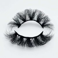 B8809-20F