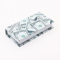 dollar lashbox  (33)