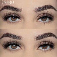 D279N