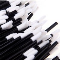 lip brushes (1)