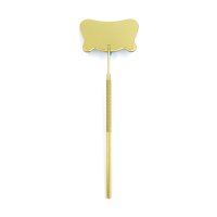 lash mirror (10)