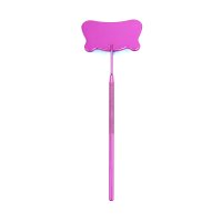 lash mirror (11)