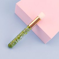 cleanser brush (66)