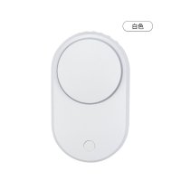 lash fan (17)