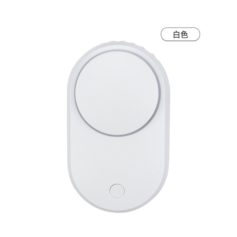 lash fan (17)