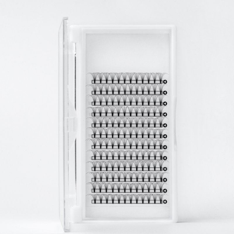 10D lash tray (1)