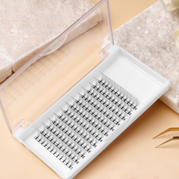 10D Lash tray
