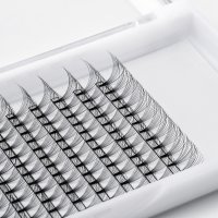 10D lash tray (2)