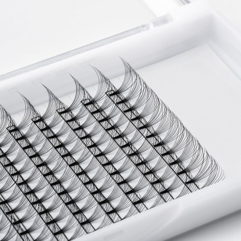 10D lash tray (2)