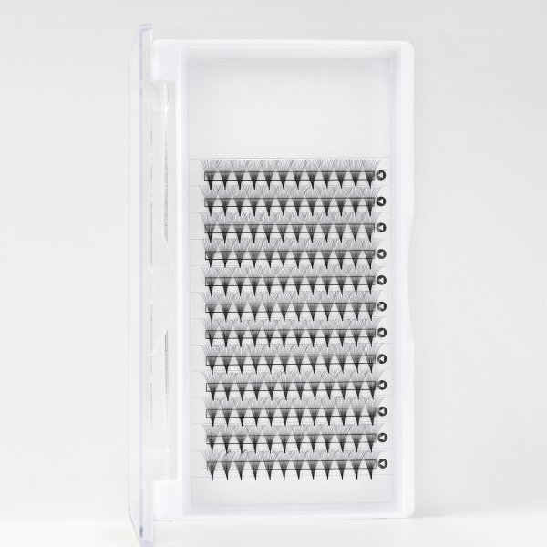 14D lash tray