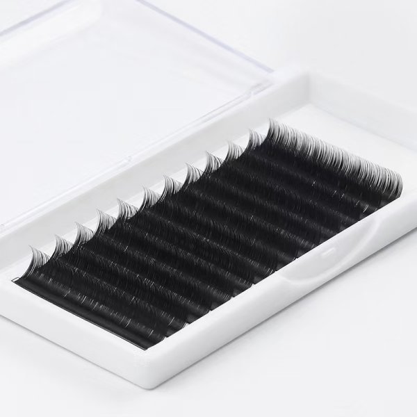 Camellia Lashes