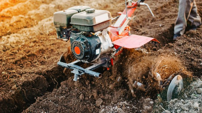 A medium-sized farm in Kenya covers an area of ​​50 hectares, and traditional manual farming 05