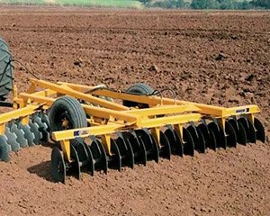 Cut off the roots and stems of weeds and other plants