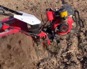 Rotary tillage