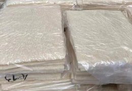 未标题-2_0002_白