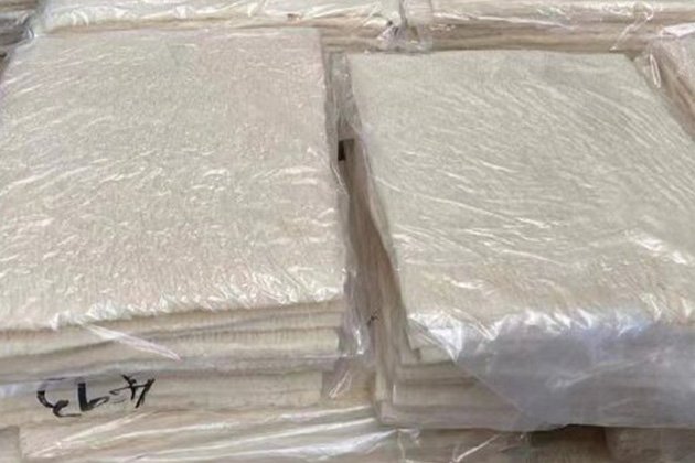 未标题-2_0002_白