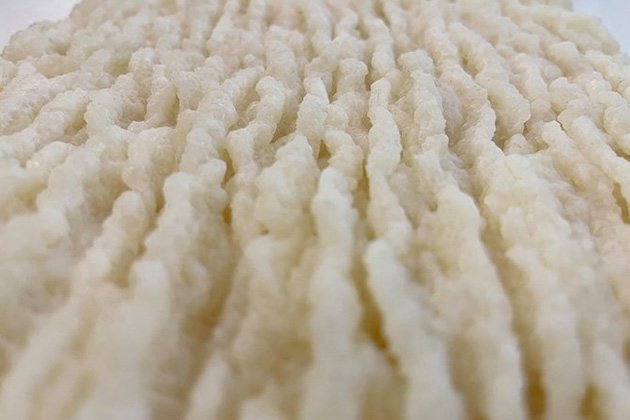 未标题-2_0001_白 1