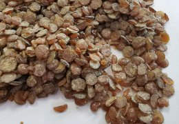 未标题-2_0003_TMQ