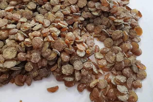 未标题-2_0003_TMQ