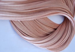 未标题-2_0005_亚东工业(苏州)有限公司3