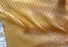 未标题-2_0005_1688