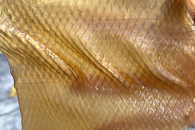 未标题-2_0005_1688