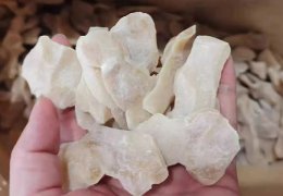 未标题-2_0002_1688