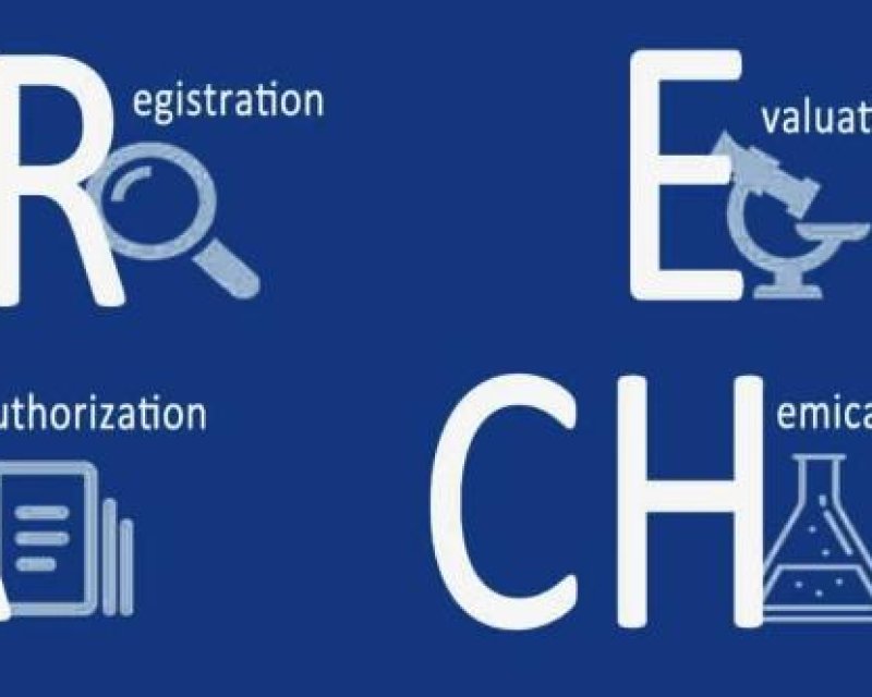 What Are the Basic Requirements of EU REACH Certification for Rubber Industrial Raw Materials?