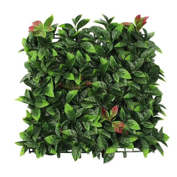 Toothed Heather-SN-R