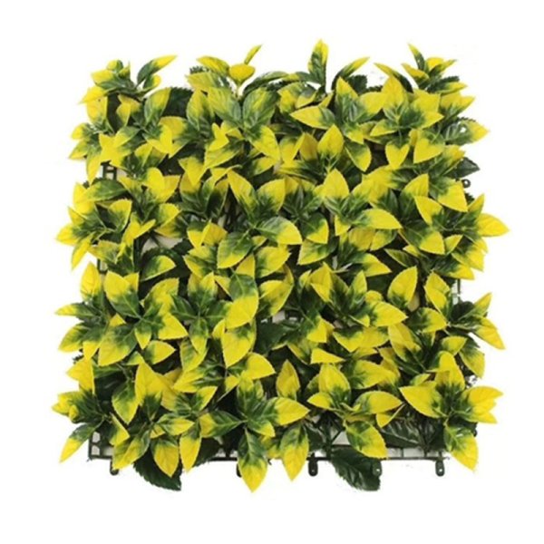 Toothed Yellow Heather-SN-Y