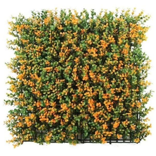 Five-layer money orange-JQC-O