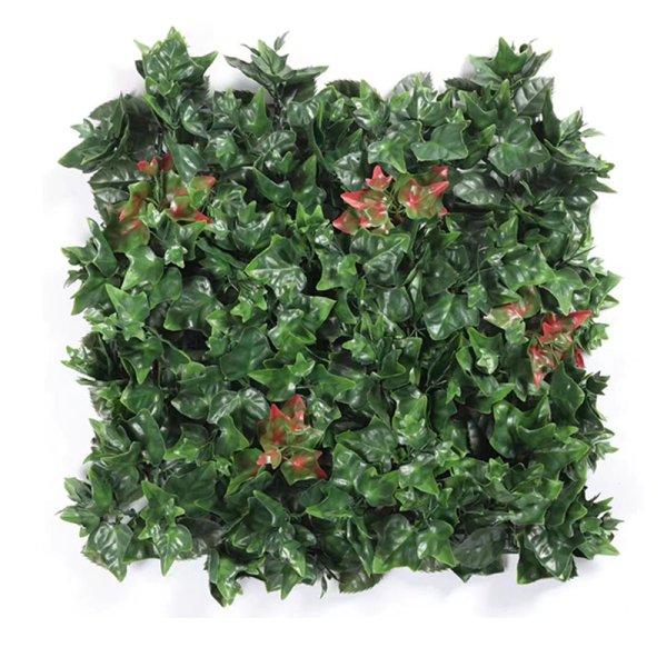 Big sweet potato leaves-DDGY