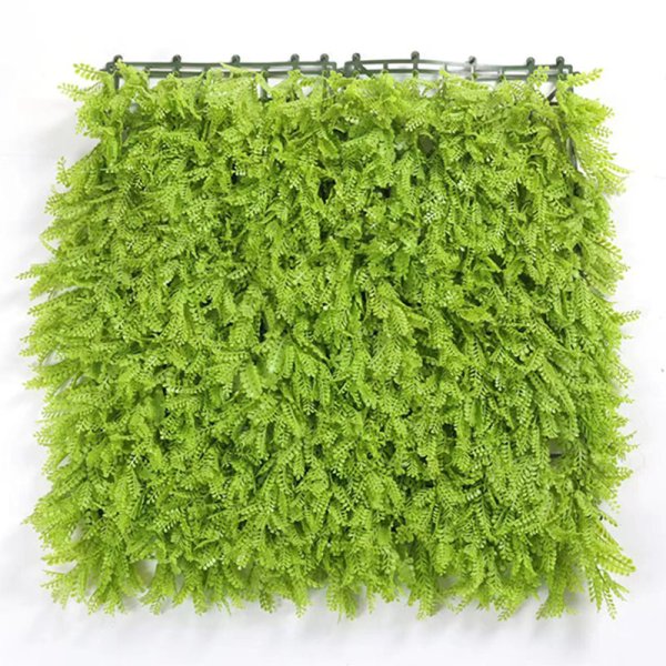 Light green mimosa-HXC