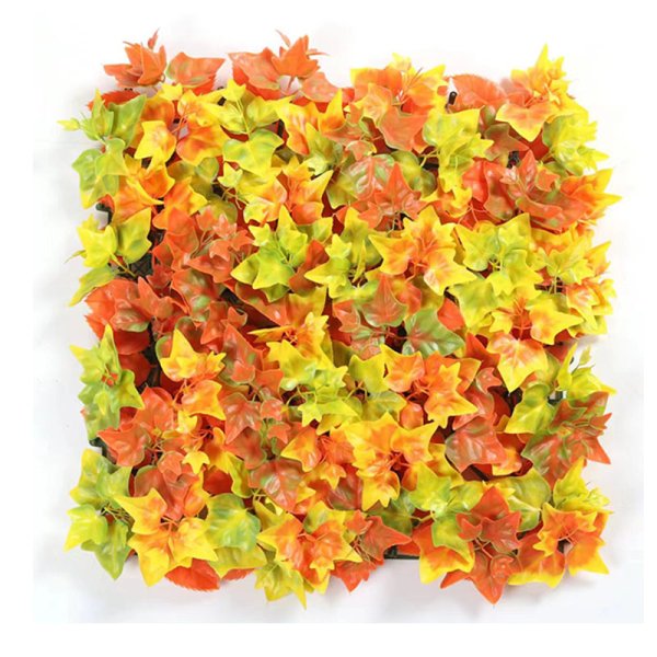 Colored sweet potato leaves-CSDGY