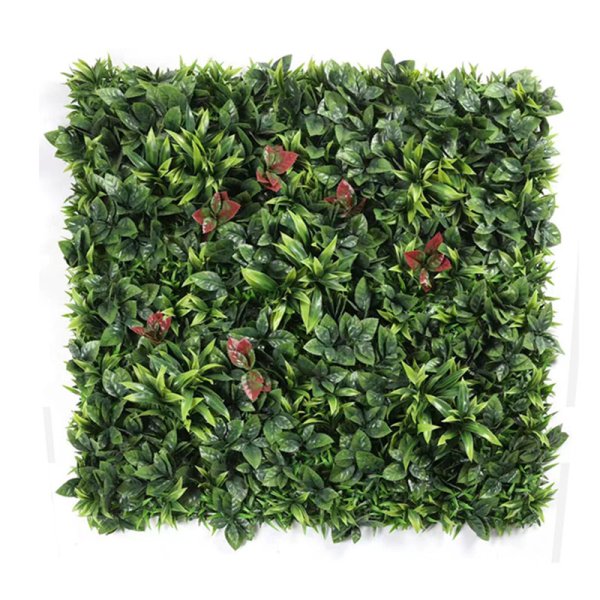 Great grass heather - DCSN