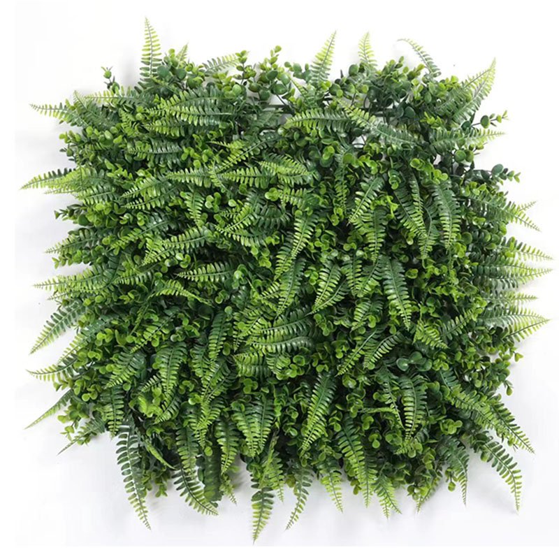 _0032_凤尾草 FWC