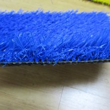 KINDERGARTEN GRASS-5