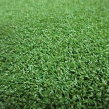 SPORT-GOLF GRASS-1
