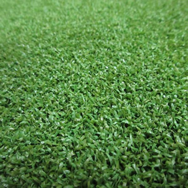 SPORT-GOLF GRASS