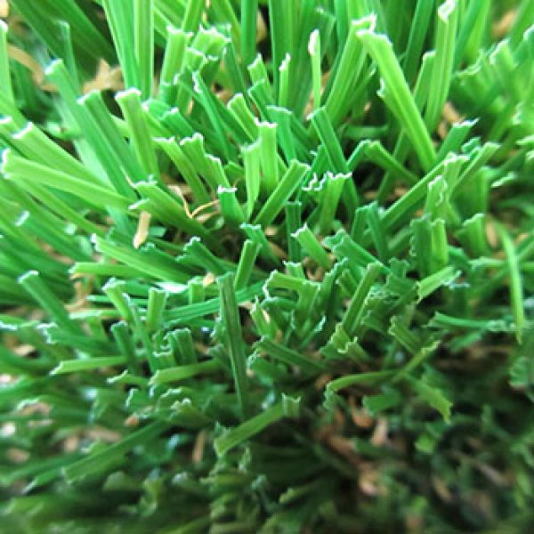 Landscaping Grass-W Shape Grass