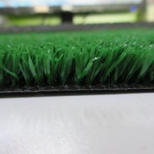 landscaping grass-SMALL GRASS