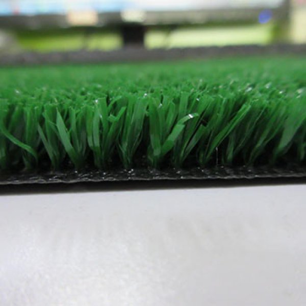 Landscaping Grass-SMALL GRASS