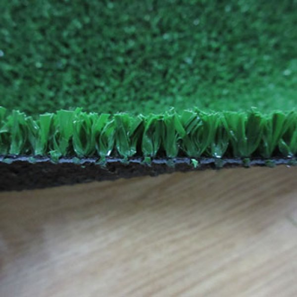 SPORT-BASKET BALL GRASS