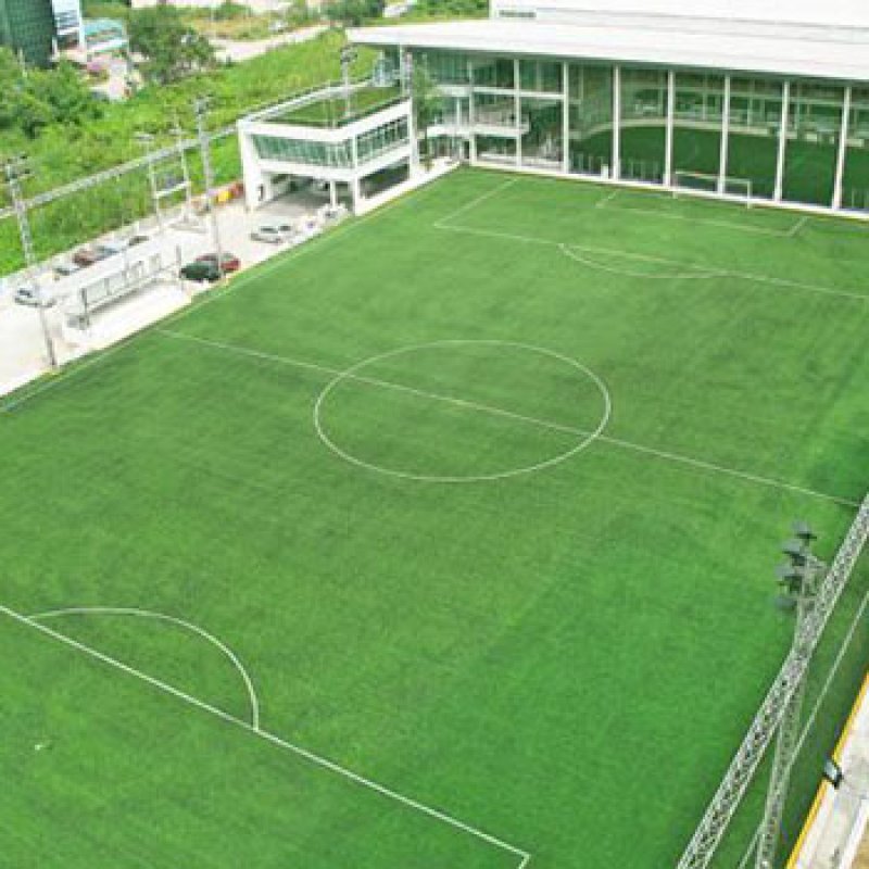 SPORT-6